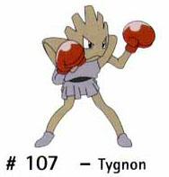 N 107 Tygnon